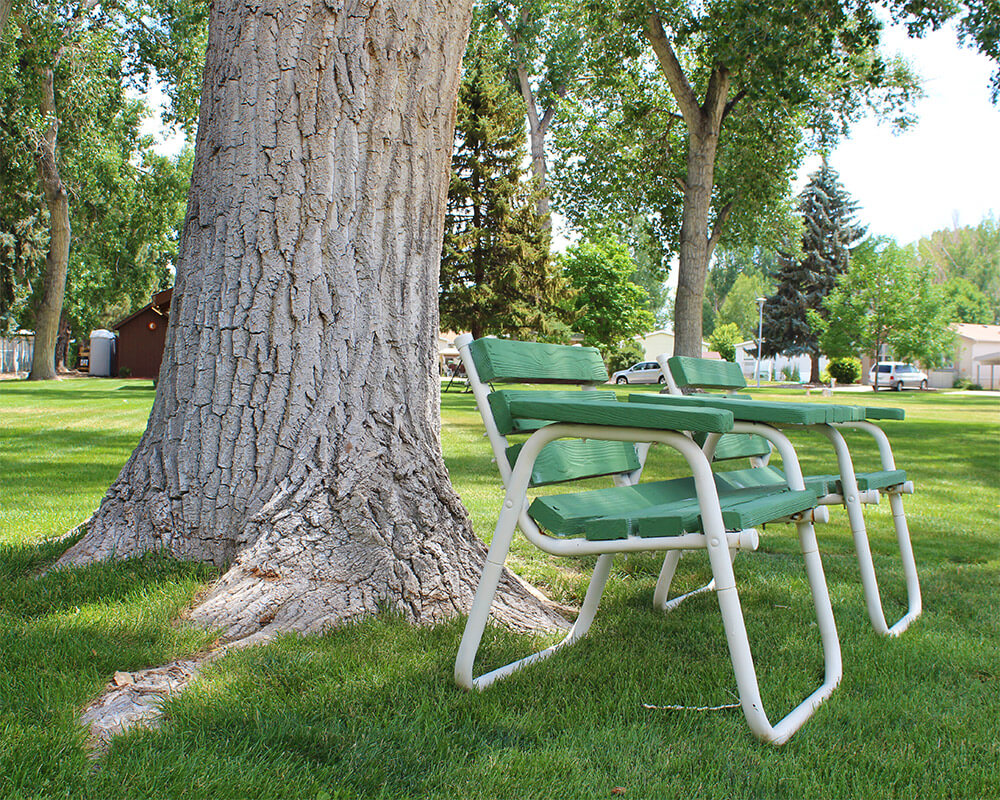 Mature shade trees and benches